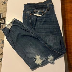 Judy Blue size 22W Skinny Fit jeans